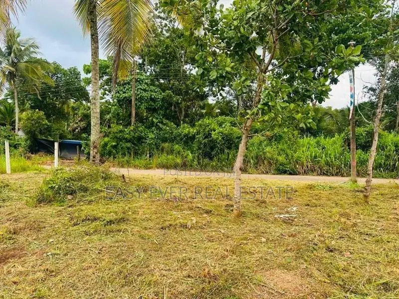දිවුලපිටියෙන් සුදුසුම බිම් කොටස - AJ 13707