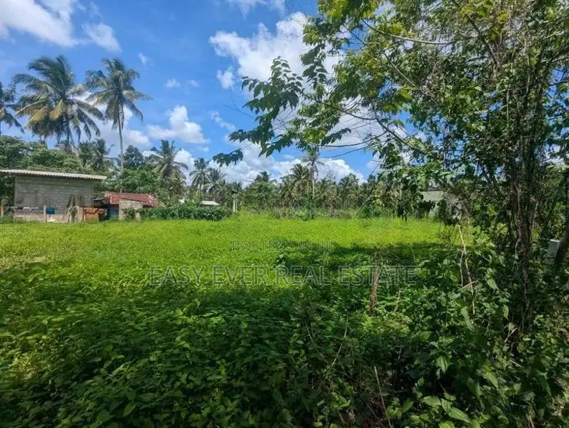 දිවුලපිටිය වෙලගානෙන් බිම් කොටස් දෙකක් - AJ 13850