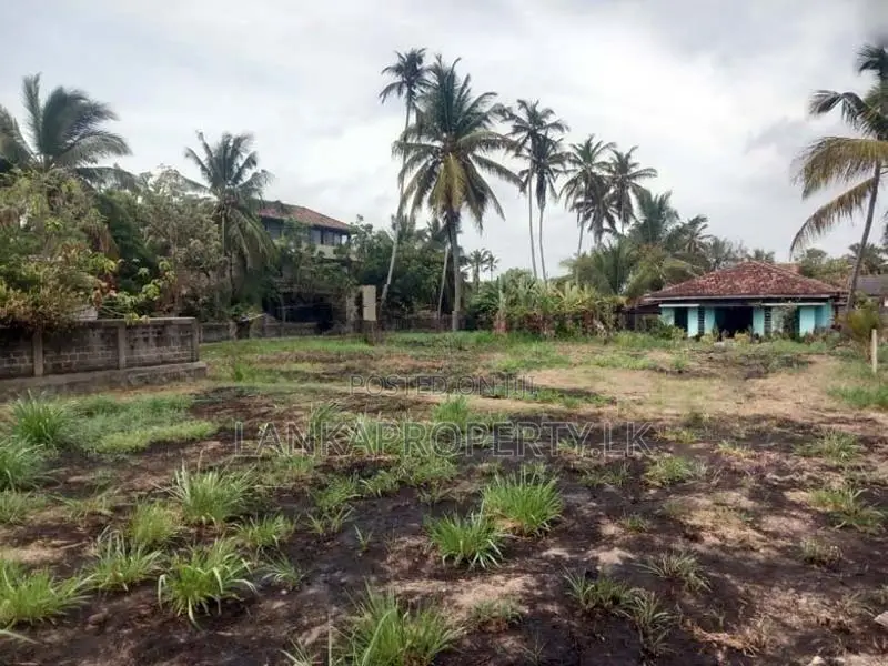 Prime Land for Sale – Close to Pamunugama Town