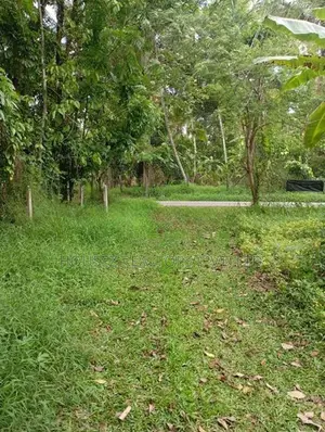 Completed House for Sale – Veyangoda