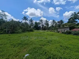 දිවුලපිටිය වෙලගානෙන් බිම් කොටස් දෙකක් - AJ 13850