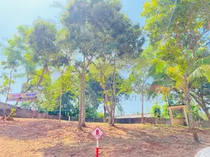 Land For Sale Mawanella