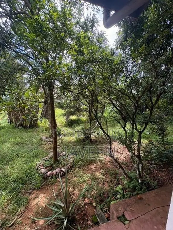 Land for Sale in Padukka