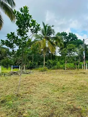 දිවුලපිටියෙන් සුදුසුම බිම් කොටස - AJ 13707