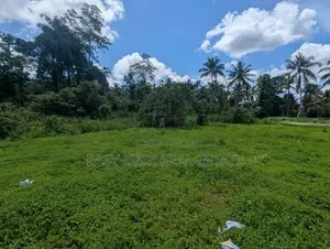 දිවුලපිටිය වෙලගානෙන් බිම් කොටස් දෙකක් - AJ 13850