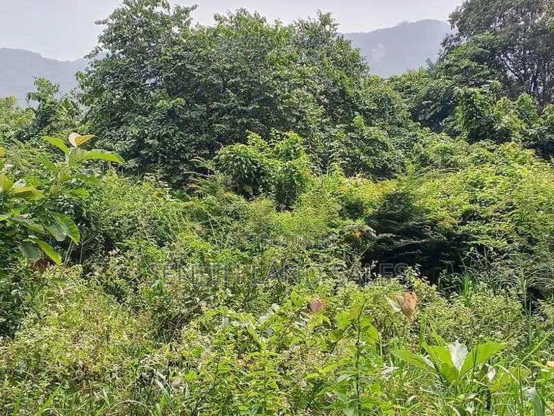 දඹුල්ල අවටින් වැවකට යාබදව ප්වස් 400 ක් ව්කිණිමට ඇත