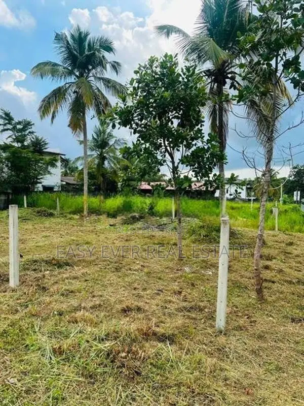 දිවුලපිටියෙන් සුදුසුම බිම් කොටස - AJ 13707