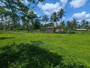 දිවුලපිටිය වෙලගානෙන් බිම් කොටස් දෙකක් - AJ 13850