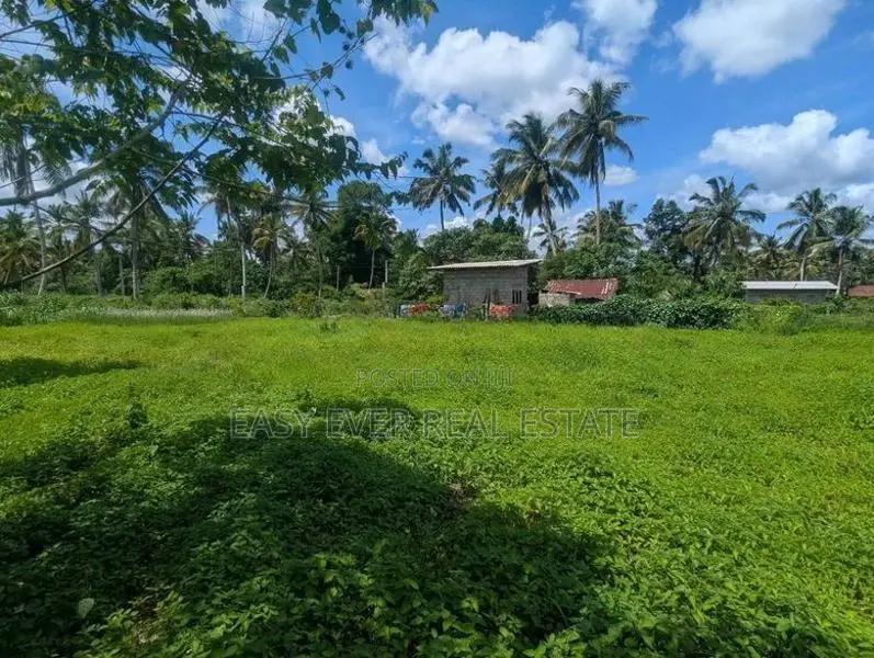 දිවුලපිටිය වෙලගානෙන් බිම් කොටස් දෙකක් - AJ 13850