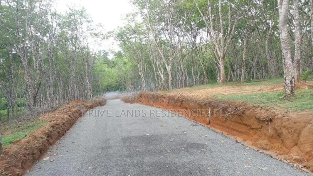 අහංගමින් බිම් කොටස් විකිණීමට