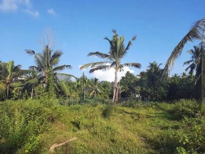 Residential Land in Ambanwita, Gampaha