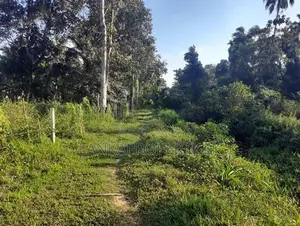 Residential Land in Ambanwita, Gampaha