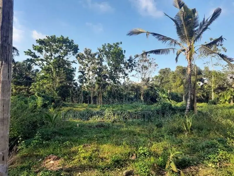 Residential Land in Ambanwita, Gampaha
