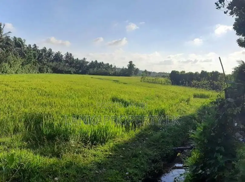 Residential Land in Ambanwita, Gampaha