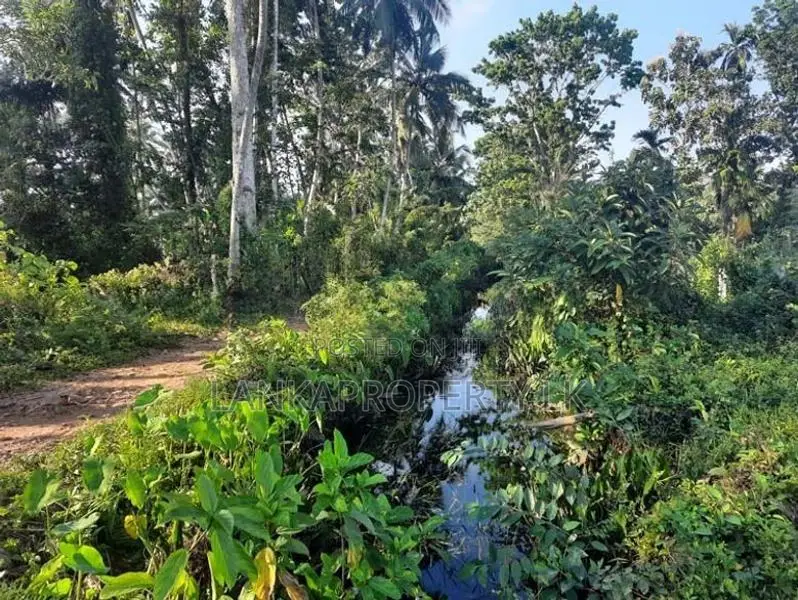 Residential Land in Ambanwita, Gampaha