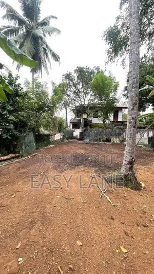 ගම්පහ – ඔරුතොට පාරේ සුපිරි ඉඩමක් විකිණීමට / CA 10635