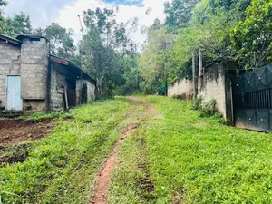 Prime Land for Sale in Labeema
