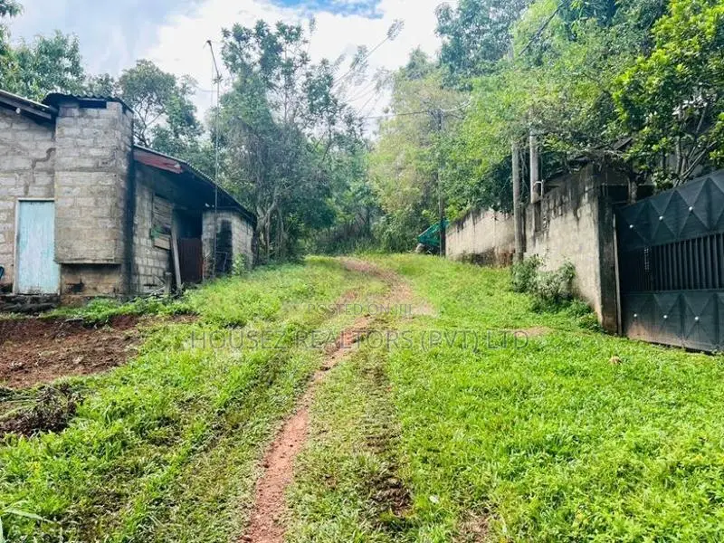 Prime Land for Sale in Labeema