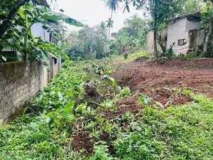 Prime Land for Sale in Labeema
