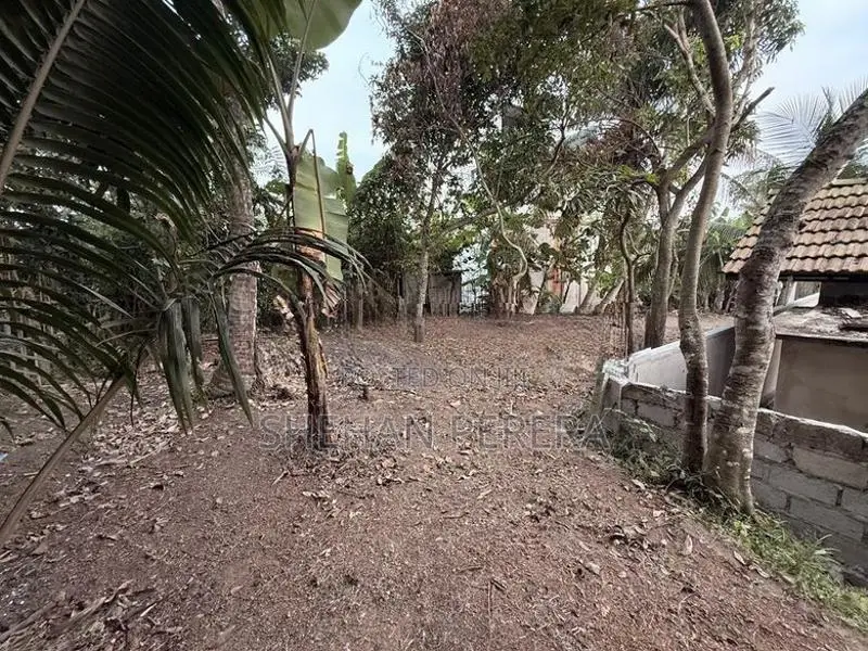 Land for Sale in Thalaramba Mirissa