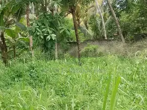 40 Perch Land for Sale Walpita