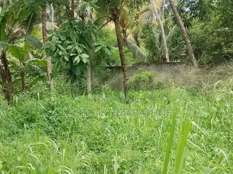 40 Perch Land for Sale Walpita