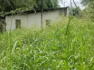 40 Perch Land for Sale Walpita