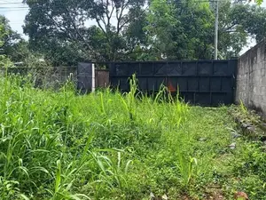 40 Perch Land for Sale Walpita
