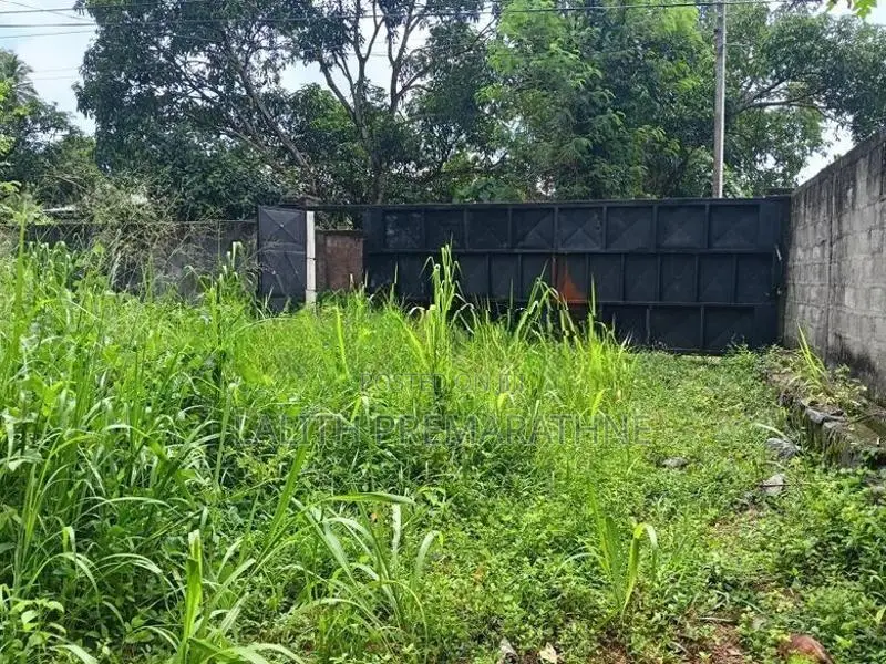 40 Perch Land for Sale Walpita