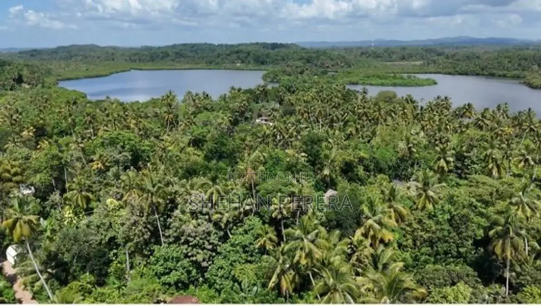 Land for Sale in Thalaramba Mirissa