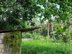 40 Perch Land for Sale Walpita
