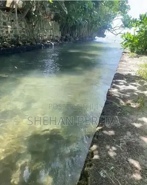 Land for Sale in Thalaramba Mirissa