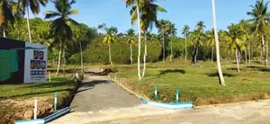 නාරම්මල නේවාසික බිම් කොටස්
