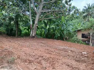 Land for Sale in Ragama