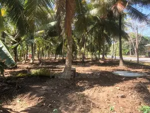නාරම්මල නේවාසික බිම් කොටස්