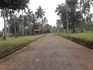 නාරම්මල නේවාසික බිම් කොටස්