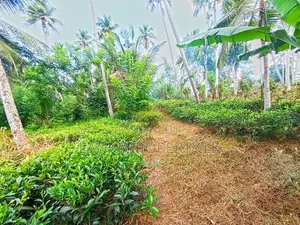 367 Perches Scenic Land for Sale in Ahangama.