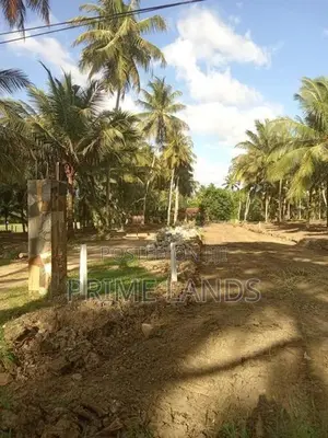 බලල්ල අඹගස්වැව නේවාසික බිම් කොටස්