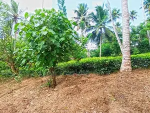 367 Perches Scenic Land for Sale in Ahangama.