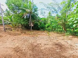 367 Perches Scenic Land for Sale in Ahangama.