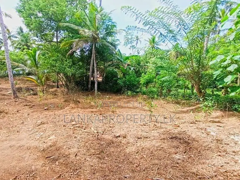 367 Perches Scenic Land for Sale in Ahangama.
