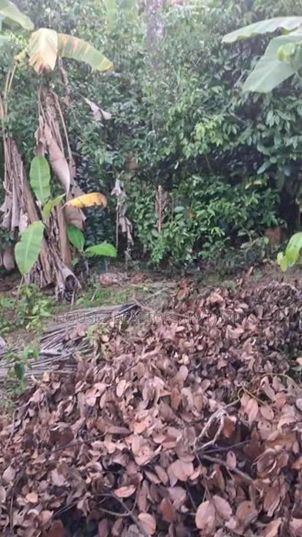 Valuable Land for Sale in Ranala
