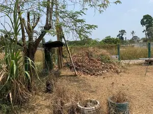 Prime Residential Land for Sale – Udugampola