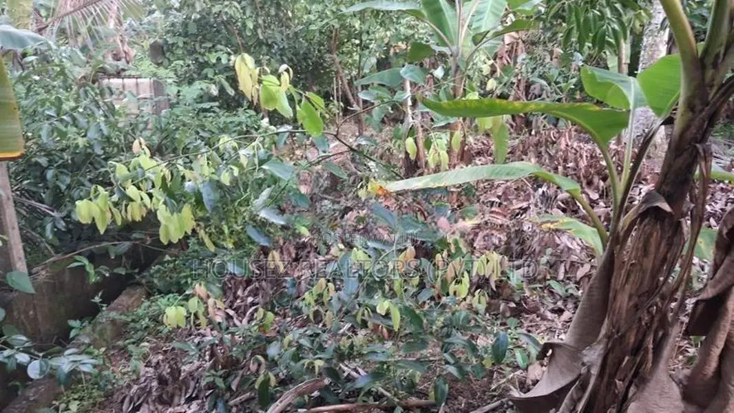 Valuable Land for Sale in Ranala