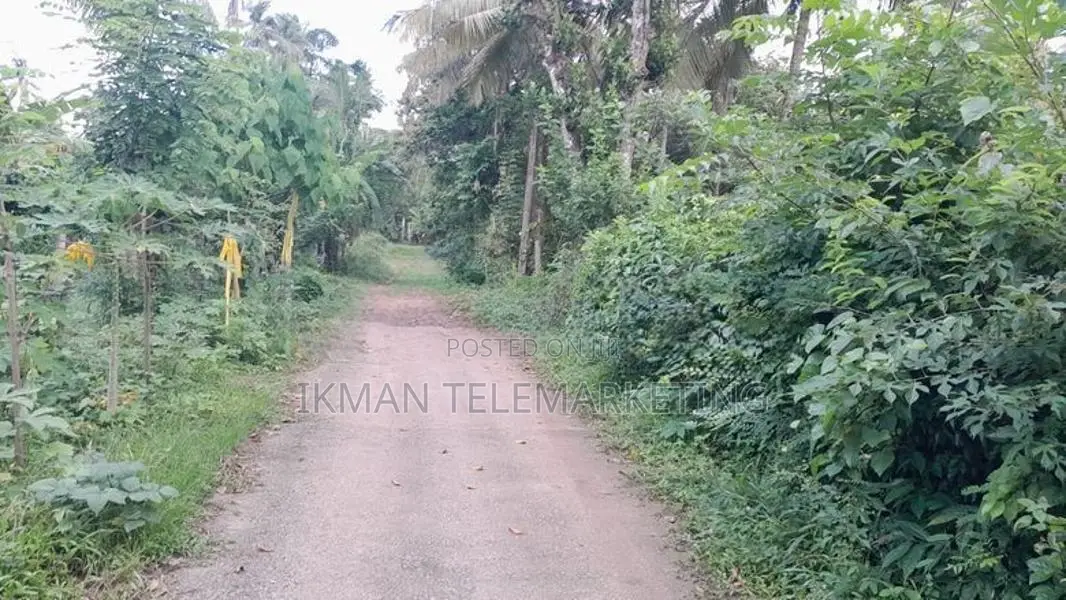 Land for Sale in Wikramaarachchi Mawatha, Yakkala