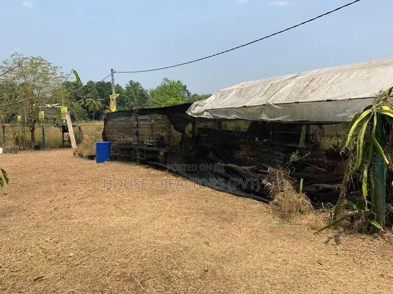 Prime Residential Land for Sale – Udugampola