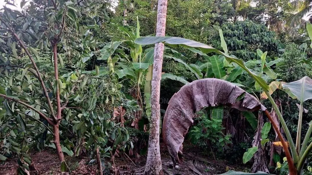 Valuable Land for Sale in Ranala