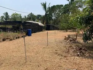 Prime Residential Land for Sale – Udugampola