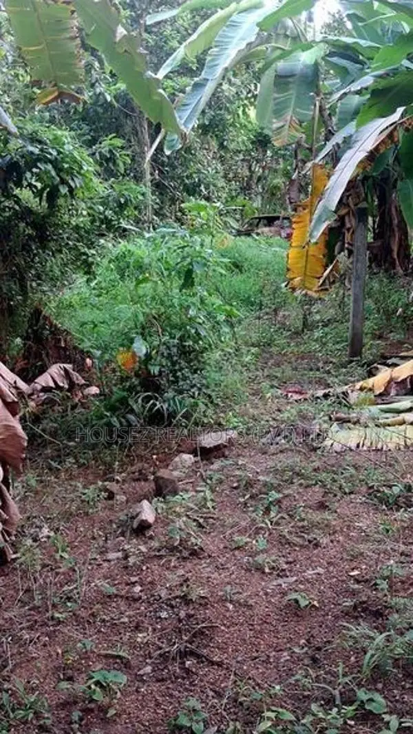 Valuable Land for Sale in Ranala