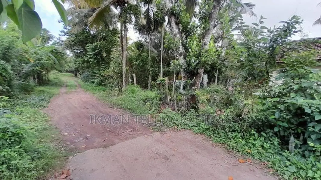 Land for Sale in Wikramaarachchi Mawatha, Yakkala